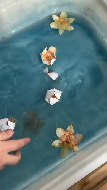 Квіти, що розквітають у воді