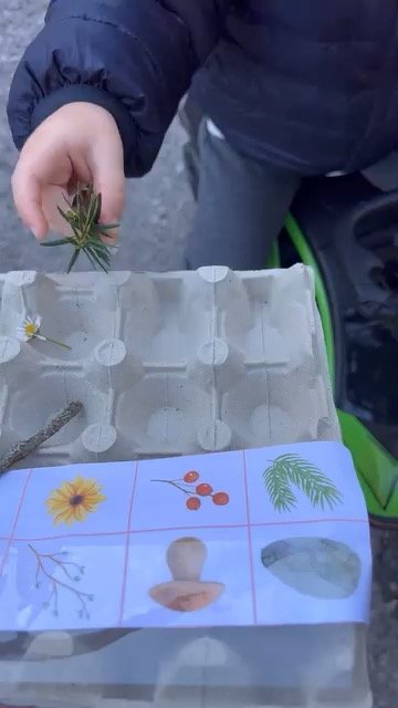 Природний сортер: знайди все в комірки