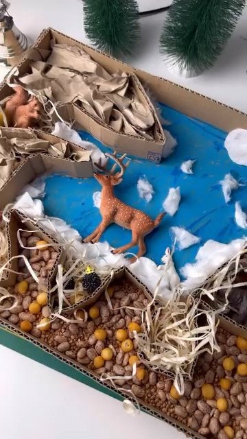 Під землею: нори в коробці, де ховаються звірі