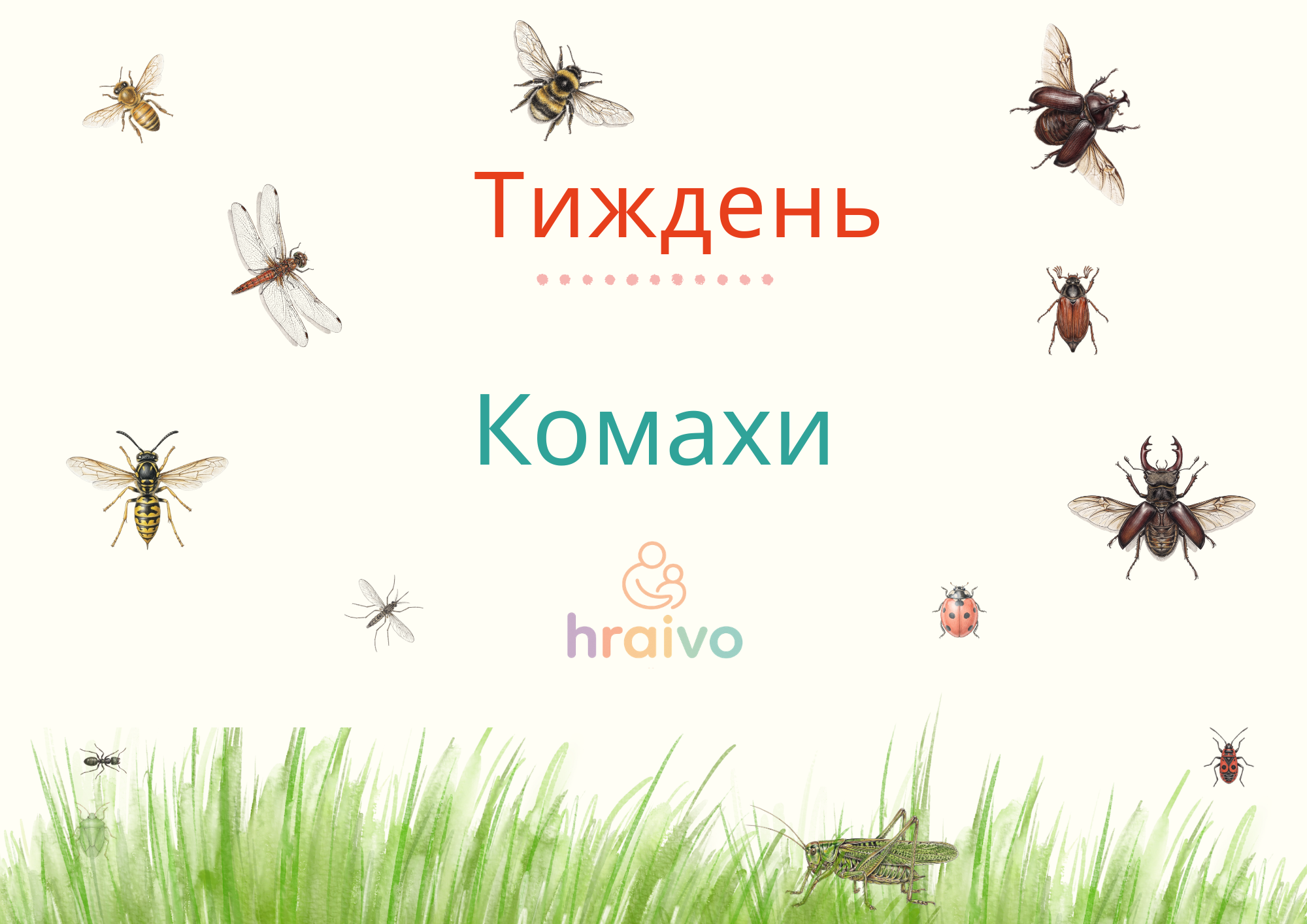Комахи